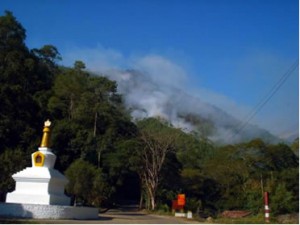 A forest fire in Tingtibe, Zhemgang